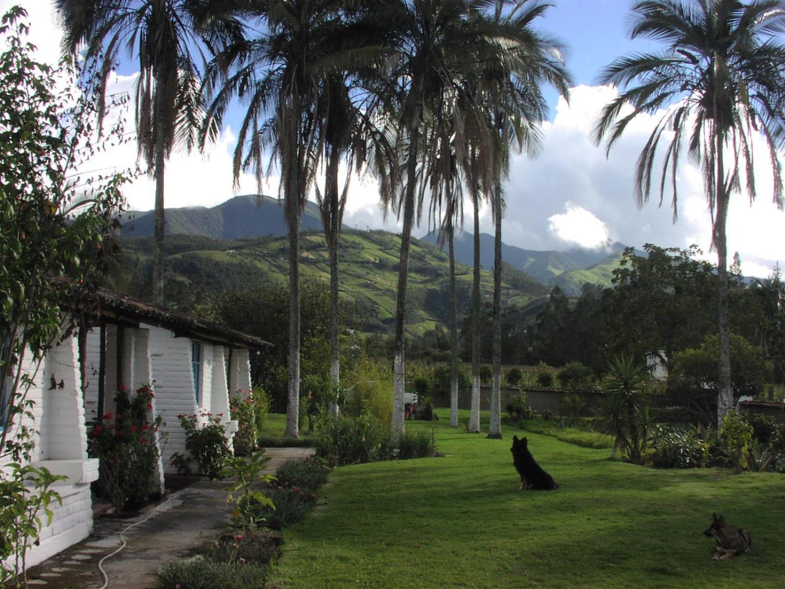 Las Palmeras Inn Otavalo Exteriör bild